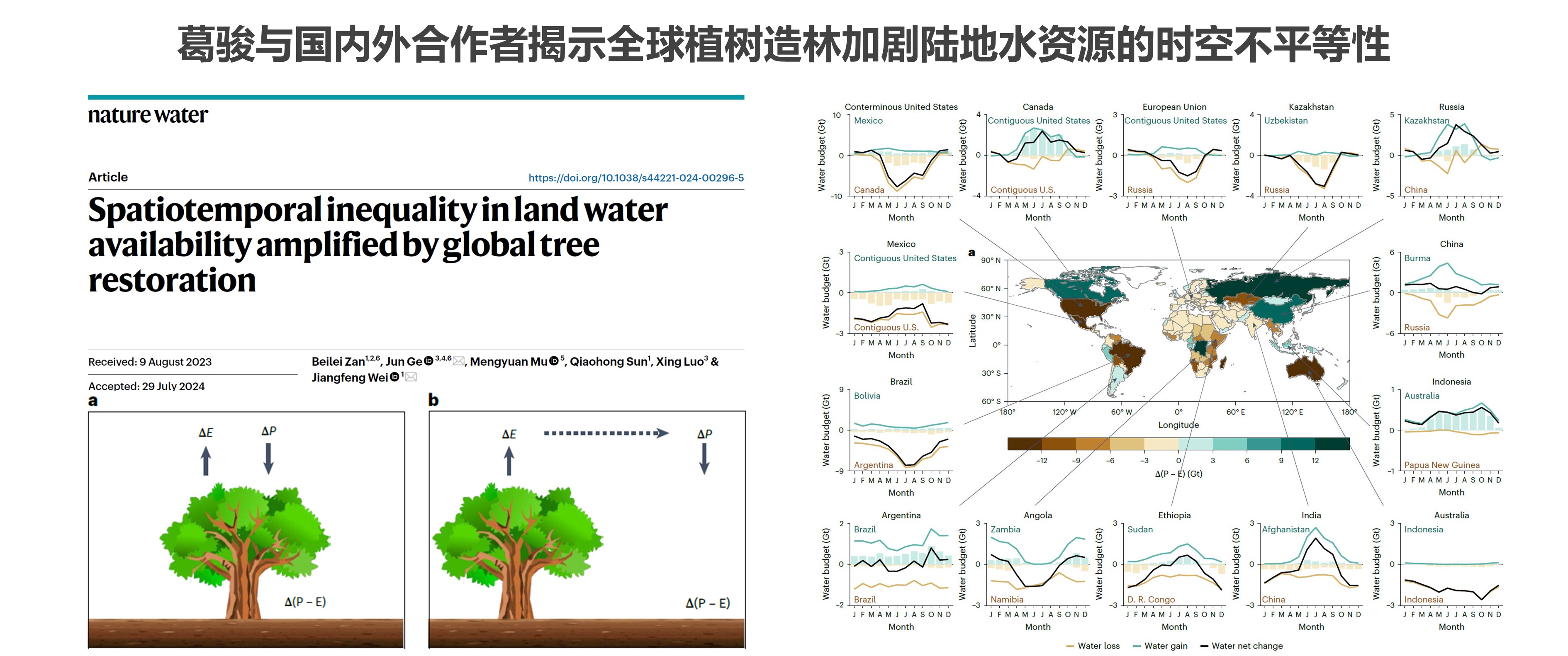 葛骏与国内外合作者揭示全球植树...